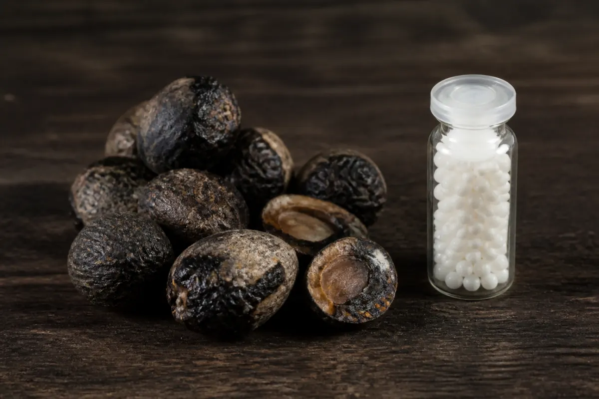 Anacardium Orientale 30 Uses: Exam Nerves, Two Wills