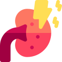 WeClinic Fissure